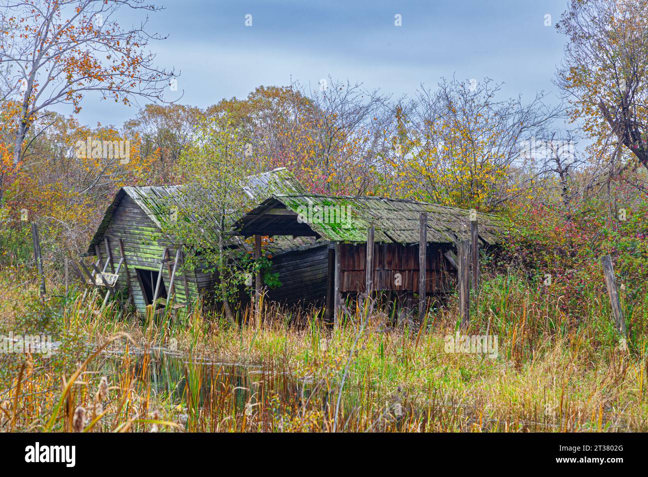 Une cabane et un hangar à bateaux abandonnés à Finn Slough Richmond Colombie-Britannique Canada Banque D'Images