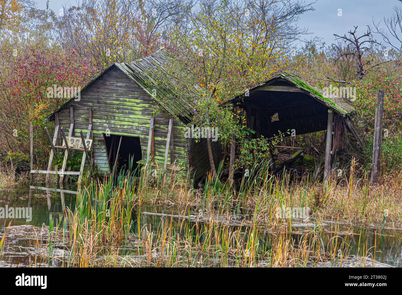 Une cabane et un hangar à bateaux abandonnés à Finn Slough Richmond Colombie-Britannique Canada Banque D'Images