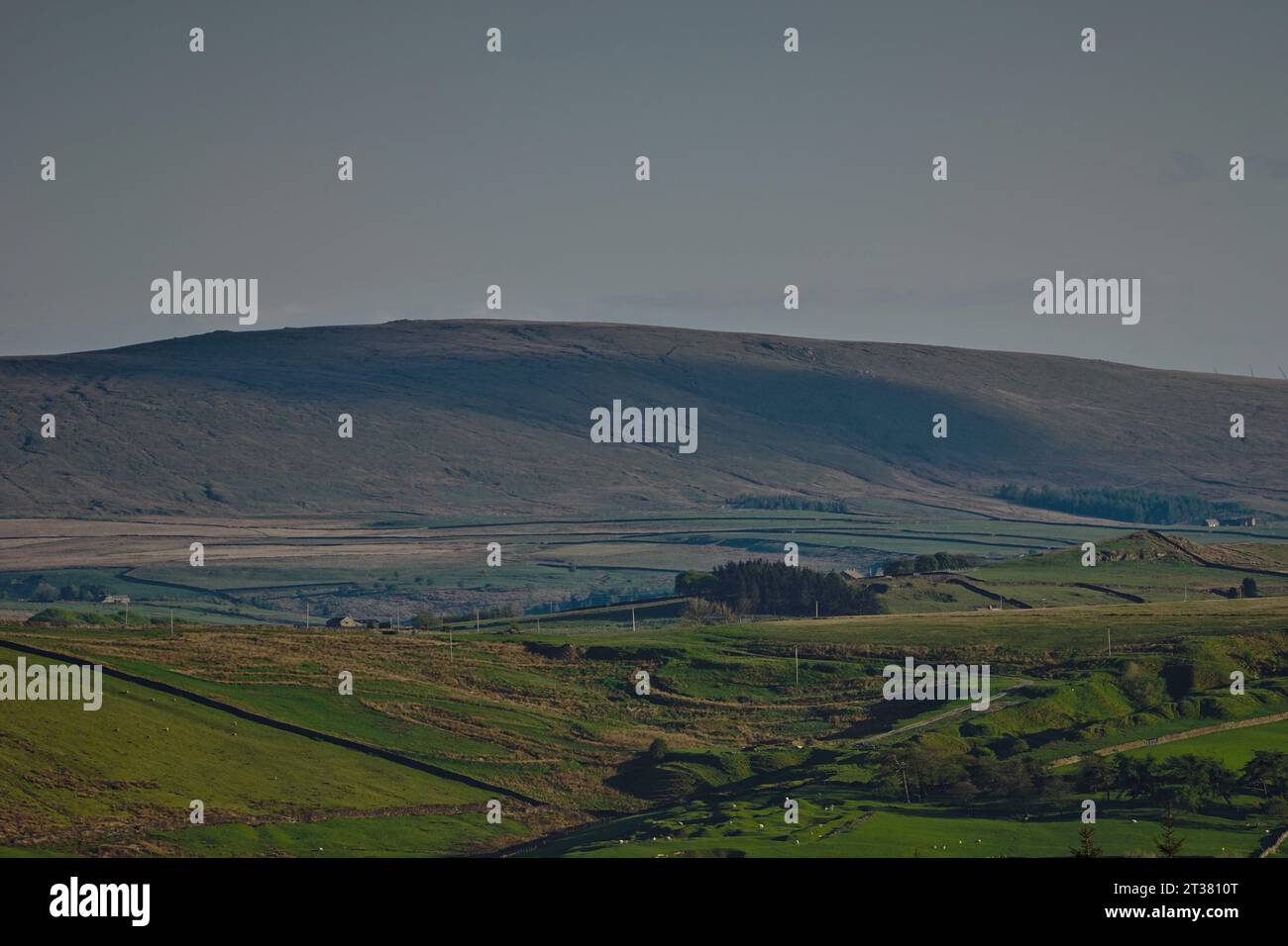 Boulsworth Hill avec son sommet Lad Law (517m au-dessus du niveau de la mer), Eastern Lancashire, Royaume-Uni Banque D'Images