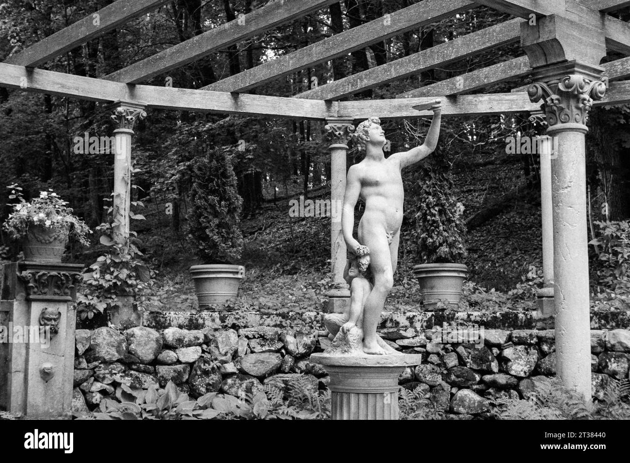 Codman Farm - Lincoln, Massachusetts 2023 - Une statue classique en pierres blanches sur un homme grec et un enfant sur un pilier en dessous d'un grand treillis de raisin avec fougère Banque D'Images