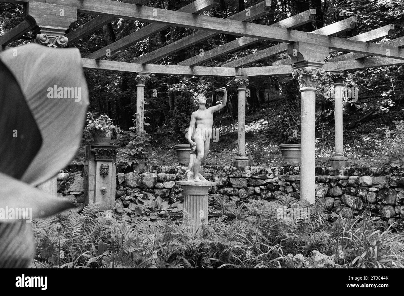 Codman Farm - Lincoln, Massachusetts 2023 - Une statue classique en pierres blanches sur un homme grec et un enfant sur un pilier en dessous d'un grand treillis de raisin avec fougère Banque D'Images