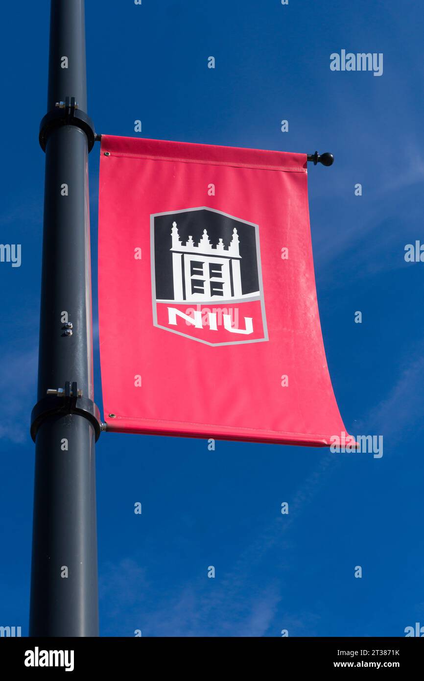 DEKALB, il, États-Unis - 17 OCTOBRE 2023 : drapeau de l'université sur le campus de l'université Northern Illinois. Banque D'Images