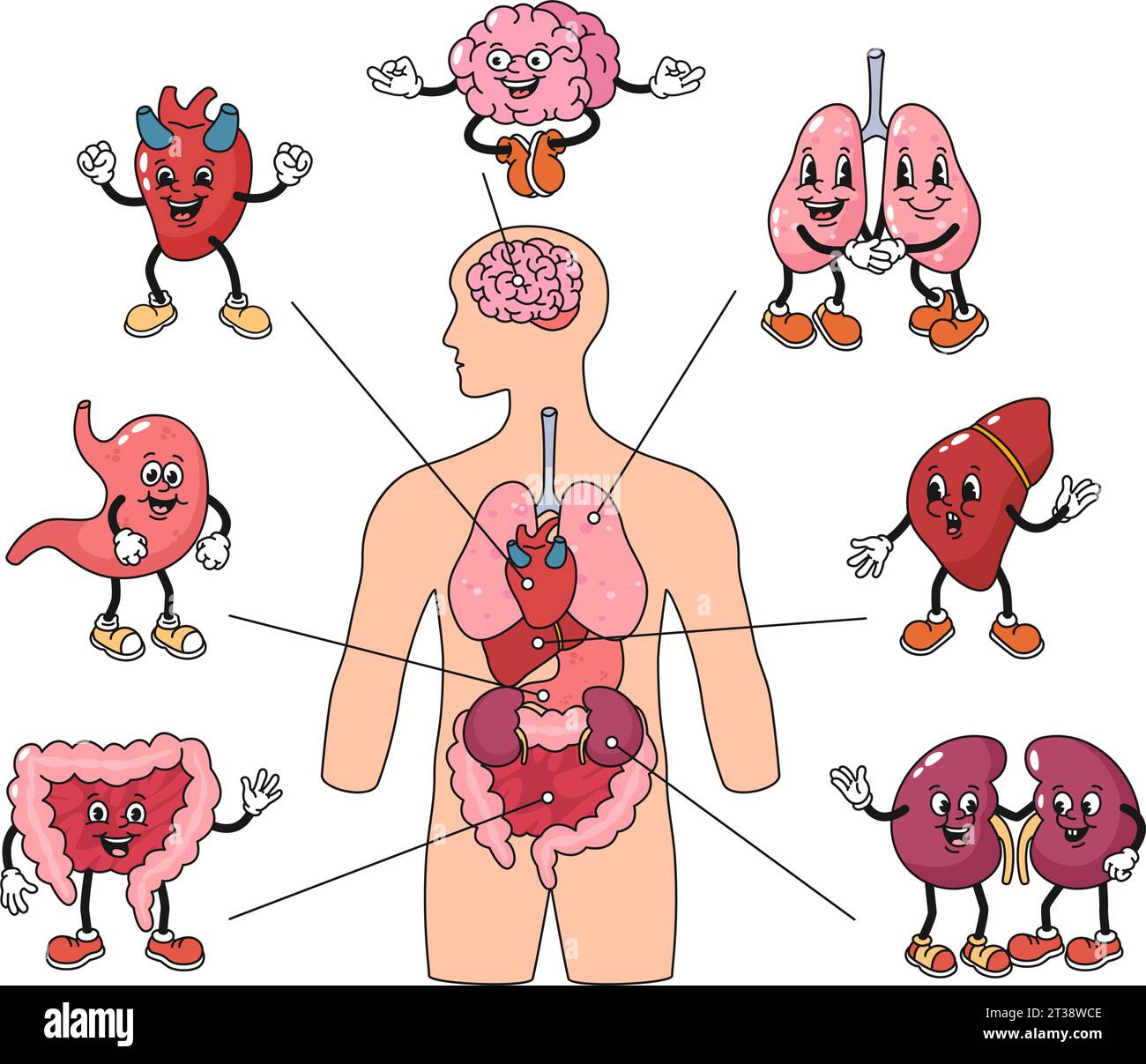 Mascottes d'organes de corps humain de dessin animé. Affiche d'anatomie avec jeu d'illustrations vectorielles de caractères de cerveau, de poumons et de coeur Illustration de Vecteur