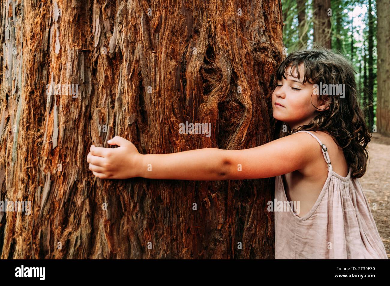 Vue de côté de mignonne petite fille serrant le vieux tronc d'arbre dans Redwoods de Monte Cabezon pendant la journée Banque D'Images