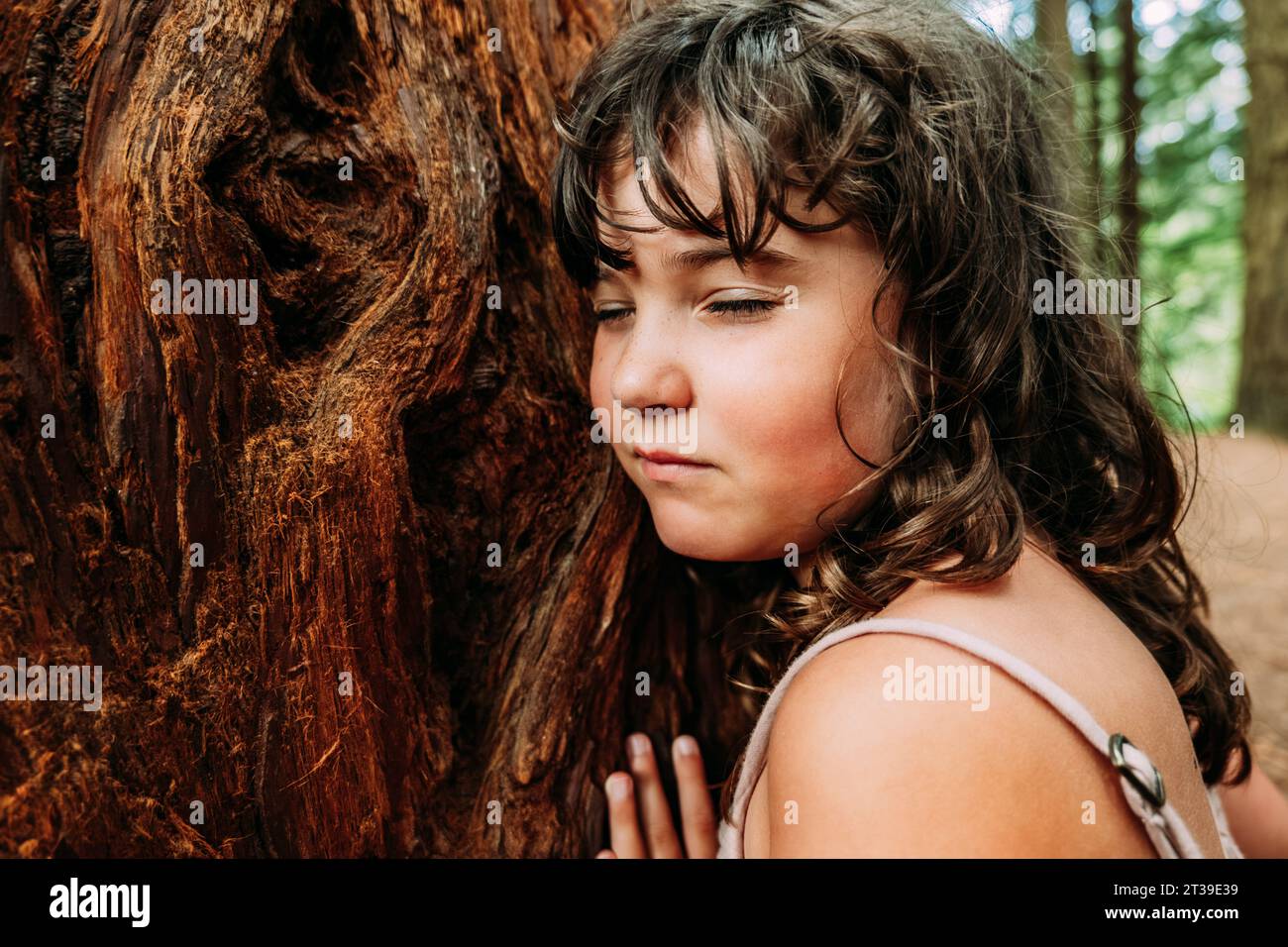 Gros plan de vue latérale de mignonne petite fille touchant le vieux tronc d'arbre dans séquoias de Monte Cabezon pendant la journée Banque D'Images