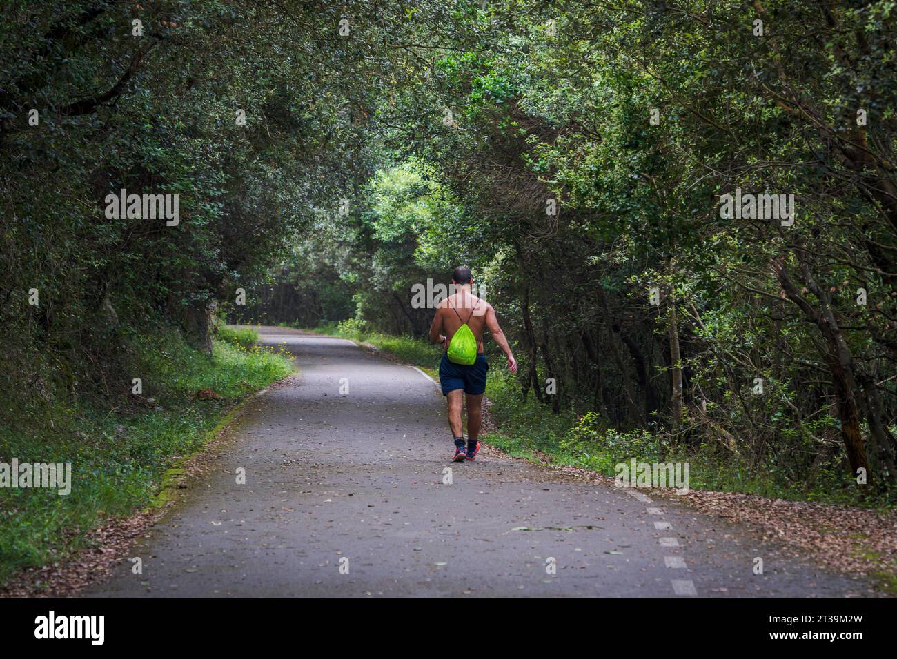 Homme brûlant des calories marchant, route sous la forêt, montagne Buciero, Santoña, Cantabrie, Espagne Banque D'Images