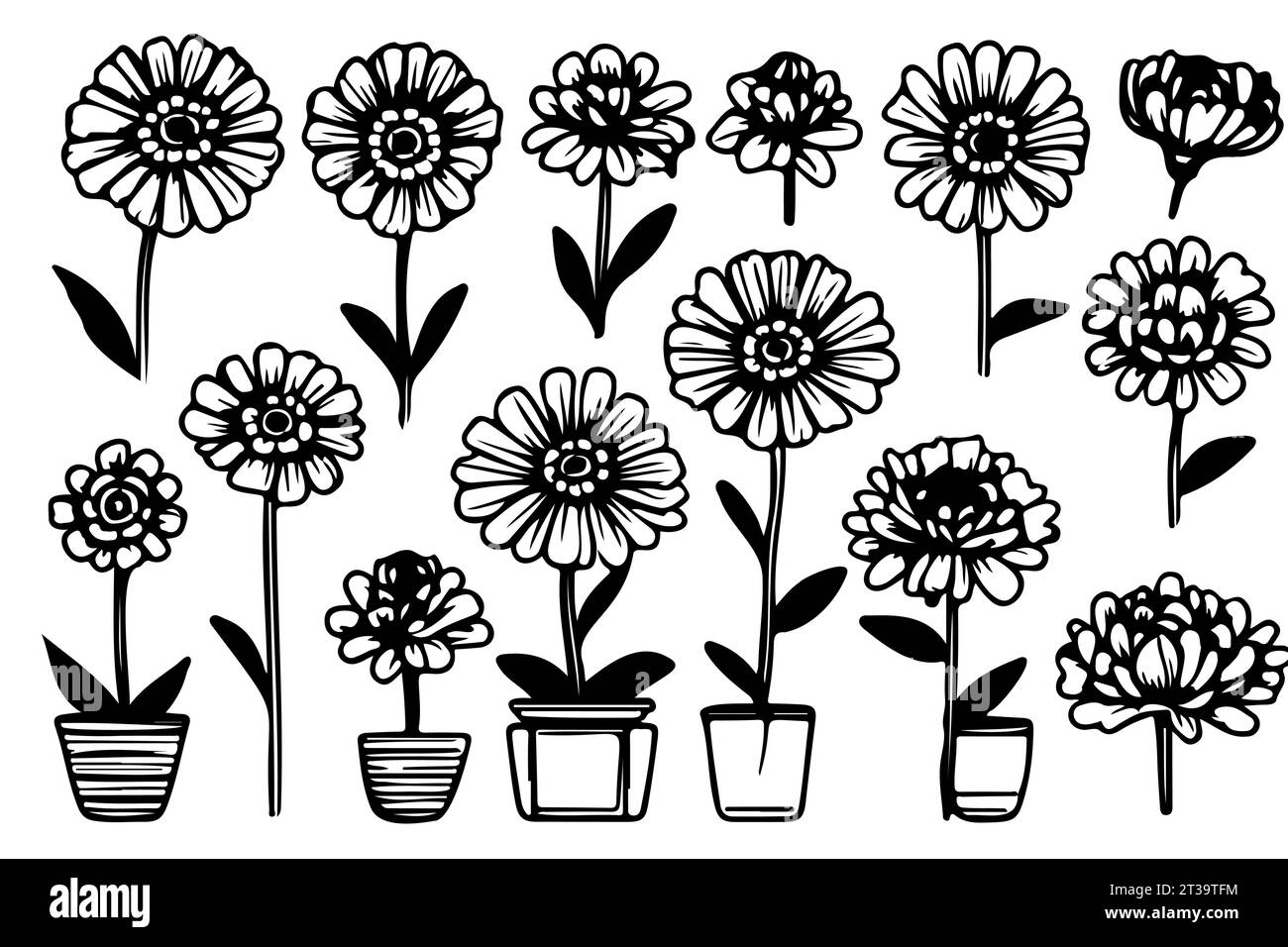 fleurs marigold ensemble feuilles et pot tagetes ou cempasuchil fleurs florissantes mexican dia de los mu Illustration de Vecteur