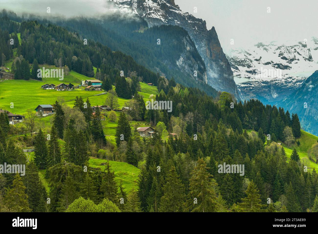 Vue du village alpin de Wengen belle scène extérieure en Suisse Banque D'Images