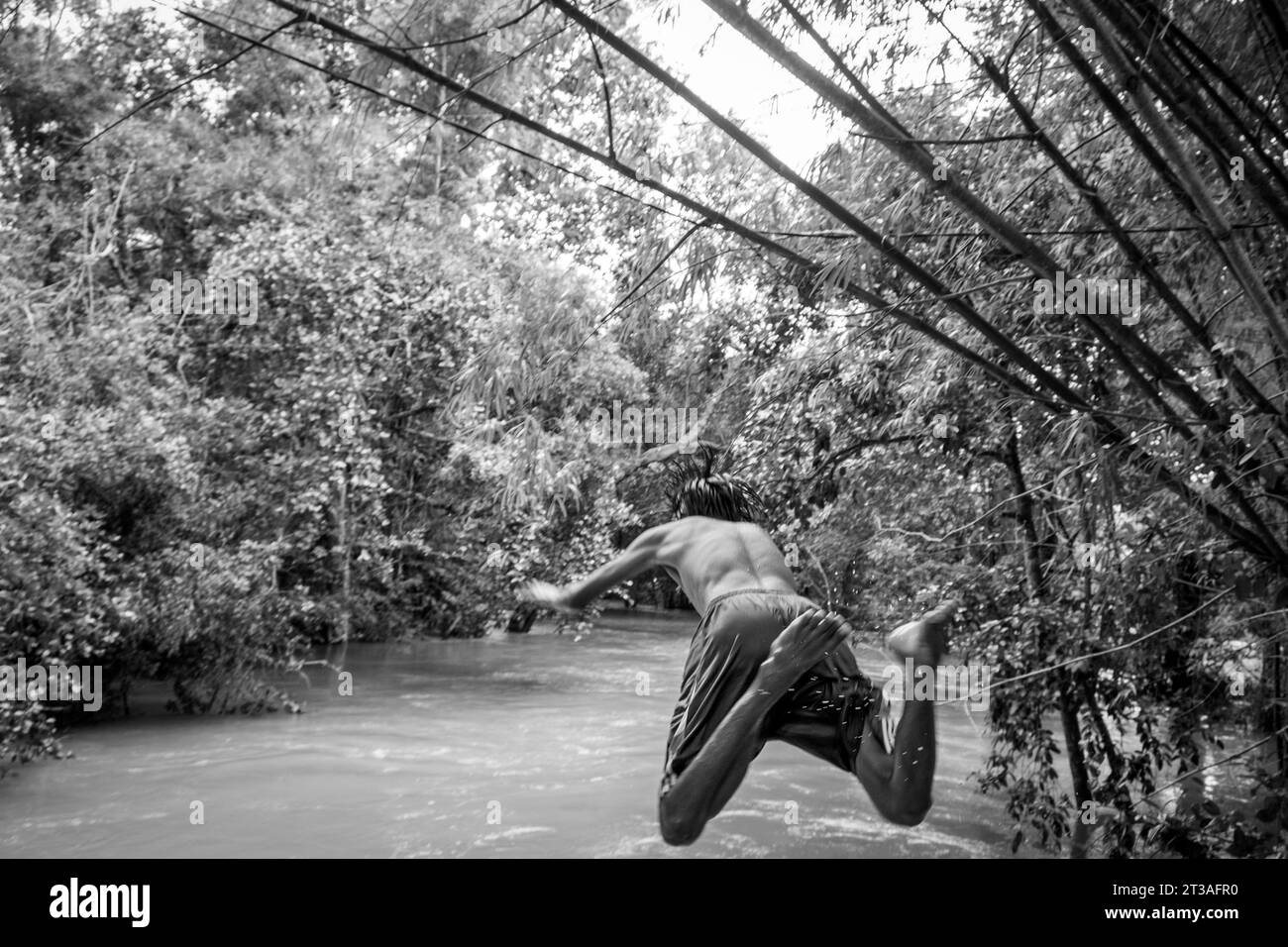 Cambodge, Kampong Phluk, les enfants plongent dans la rivière gonflée Banque D'Images