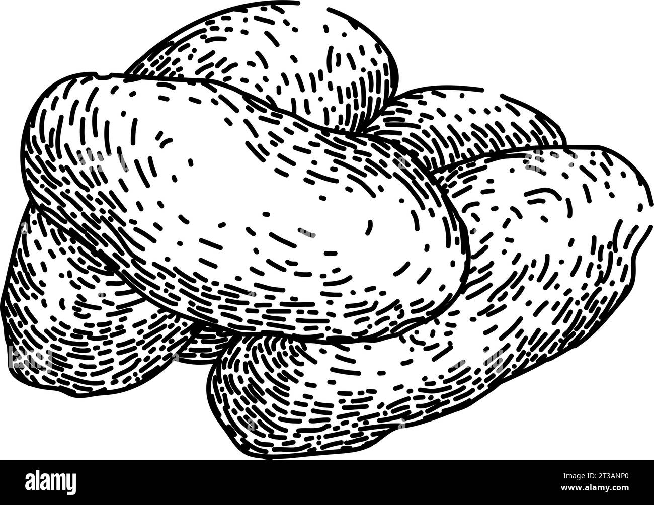 vecteur dessiné à la main de croquis de fruits séchés de collation Illustration de Vecteur