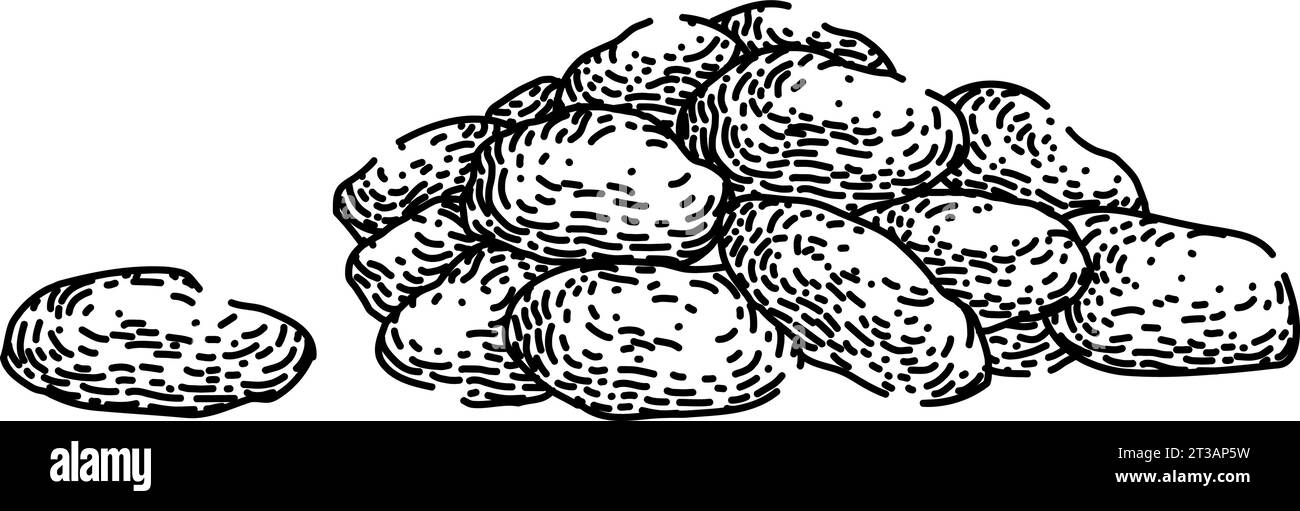 vecteur dessiné à la main de croquis de fruits secs naturels Illustration de Vecteur