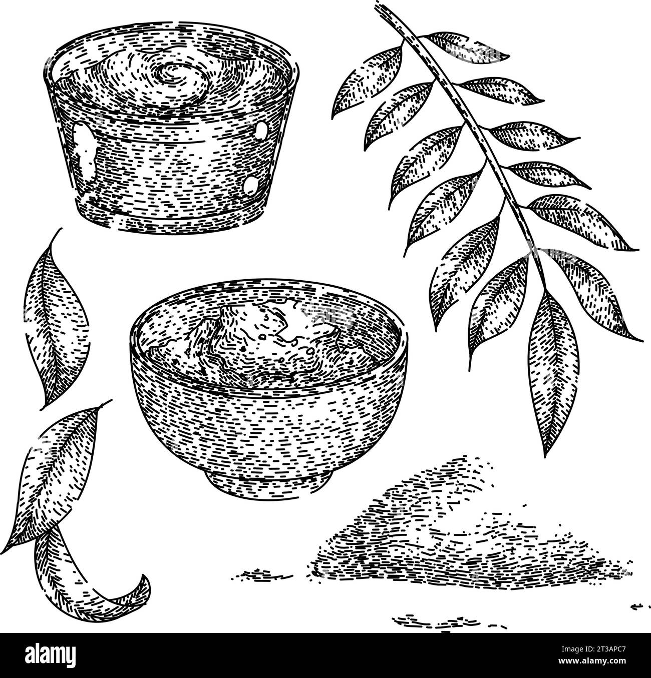 vecteur dessiné à la main pour croquis de curry set Illustration de Vecteur