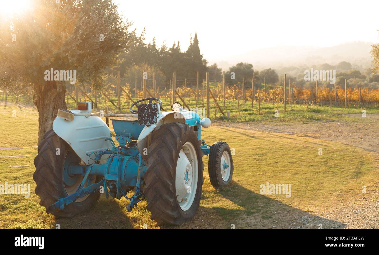 Vignoble avec tracteur. L'agriculture en action. Le paysage agricole montre la beauté rurale. Les raisins de vigne signifient la récolte d'automne. La nature rencontre les machines dans Coun Banque D'Images