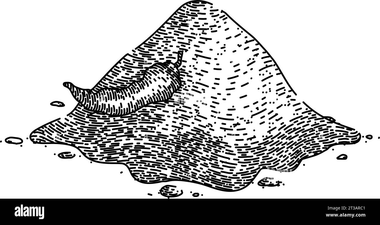 vecteur dessiné à la main d'esquisse de paprika en poudre Illustration de Vecteur