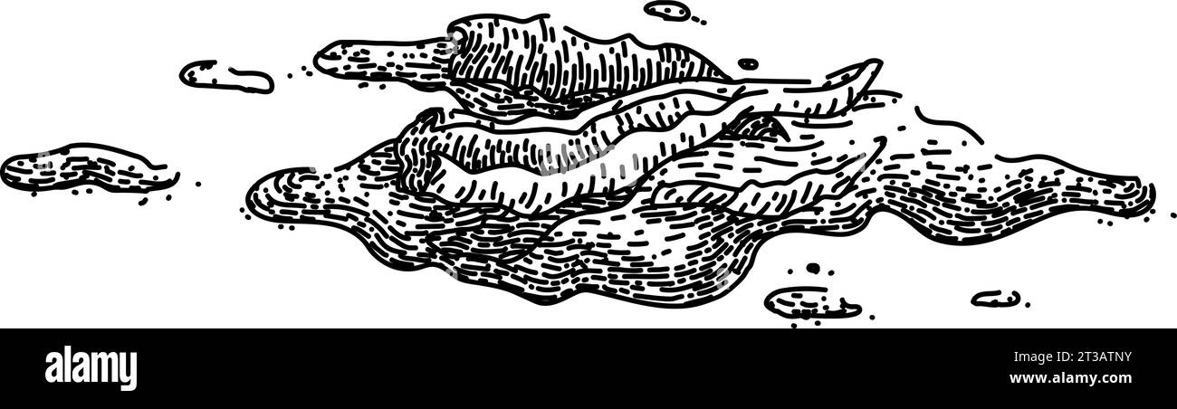 vecteur dessiné à la main de dessin de paprika de poivre Illustration de Vecteur