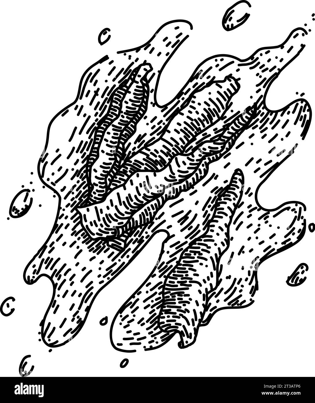 vecteur dessiné à la main d'esquisse de paprika d'ingrédient Illustration de Vecteur