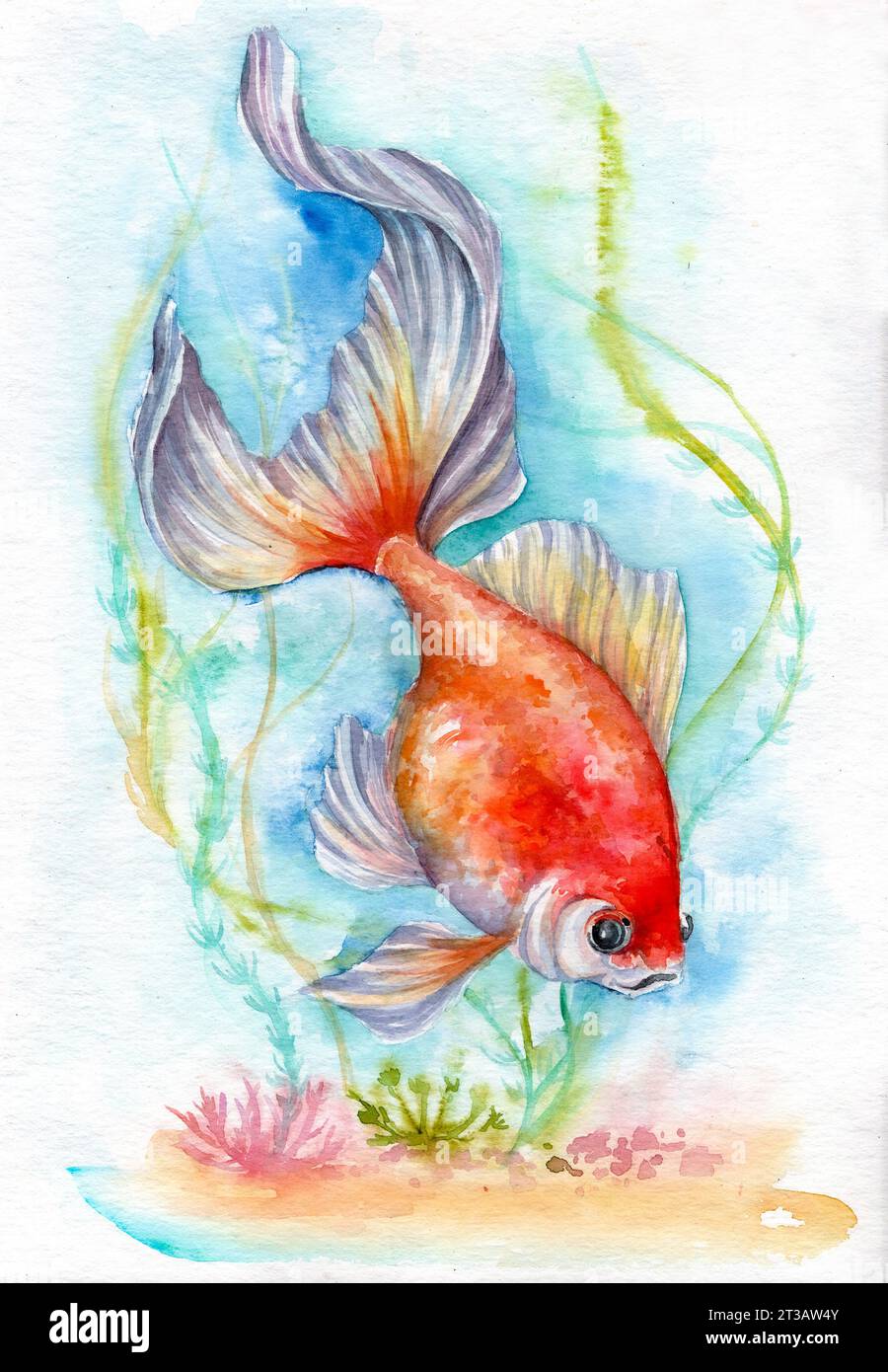 Illustration à l'aquarelle d'un poisson rouge. Mer de poisson. Rivière Banque D'Images