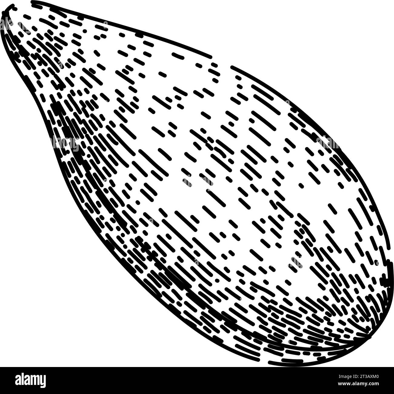 croquis de graines de tournesol snack vecteur dessiné à la main Illustration de Vecteur