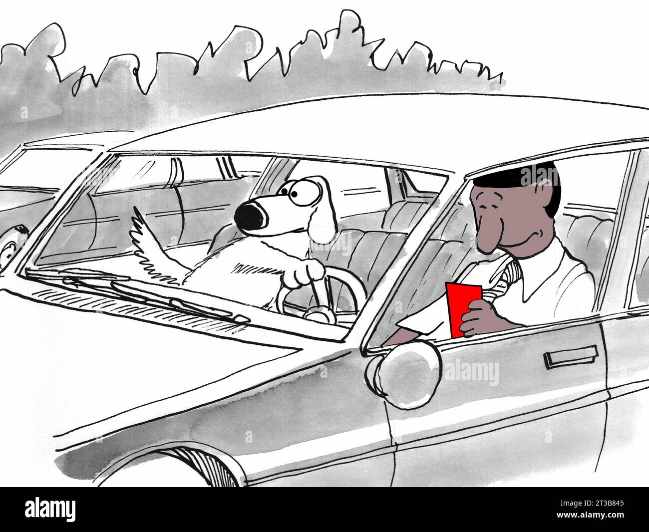 Black commuter fait attention au téléphone portable au lieu de conduire. Banque D'Images
