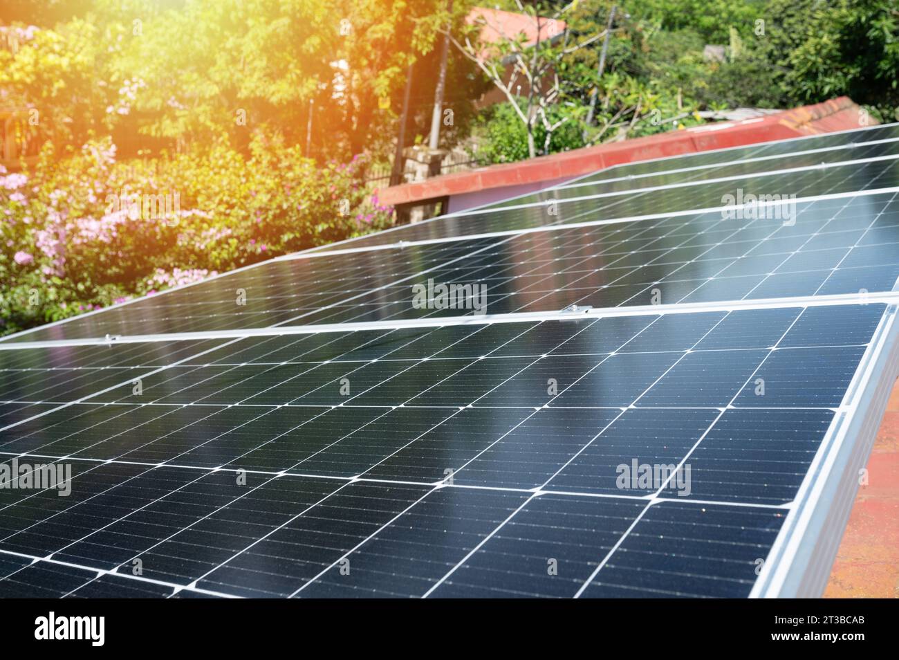 Panneaux solaires électriques sur le toit de la maison en fond de jardin vert ensoleillé Banque D'Images