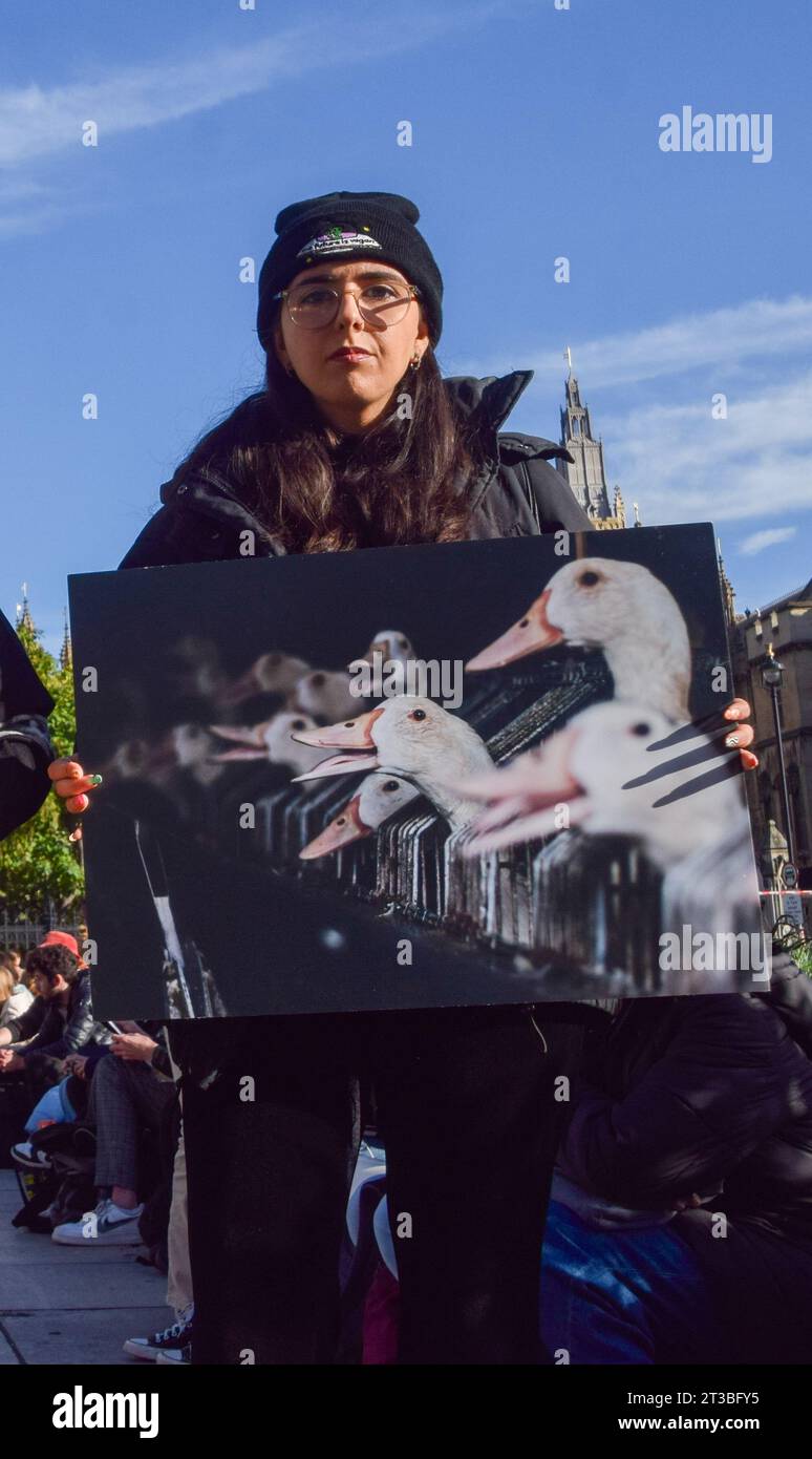 Londres, Royaume-Uni. 24 octobre 2023. Des militants de l'organisation de défense des droits des animaux Animal Equality ont organisé une manifestation et une sensibilisation sur la place du Parlement contre le foie gras, alors que les ministres du gouvernement débattaient de l'importation et de la vente du produit alimentaire fabriqué à partir du foie d'un canard ou d'une oie. Le processus de fabrication du foie gras implique l'alimentation forcée des oiseaux et est interdit au Royaume-Uni, bien que les importations soient toujours autorisées. Crédit : Vuk Valcic/Alamy Live News Banque D'Images