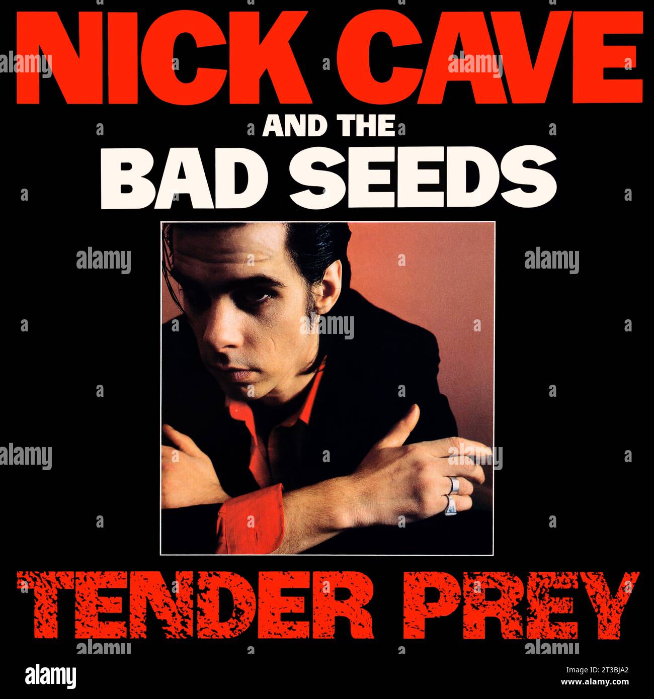 Nick Cave & The Bad Seeds - pochette originale de l'album vinyle - Tender Prey - 1988 Banque D'Images