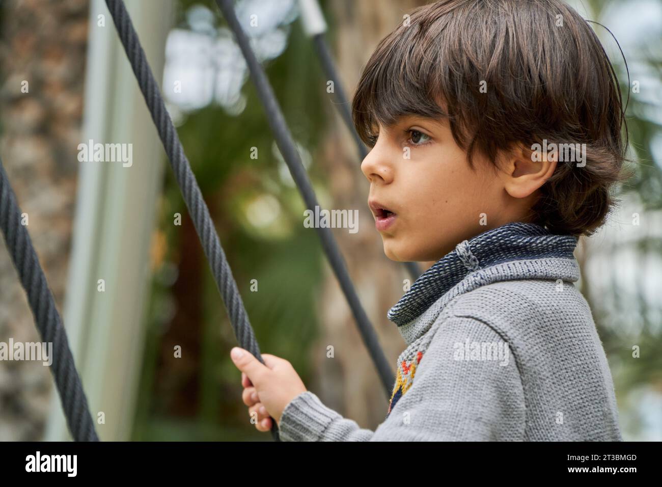 Latin Kid regardant dans de distance d'un pont suspendu accroché aux palmiers Banque D'Images