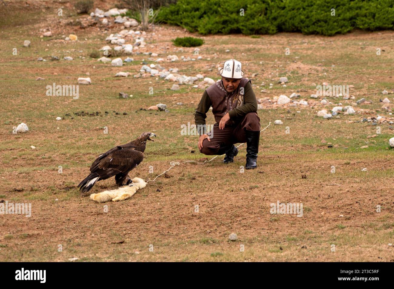 Chasseur kirghize avec aigle doré (Aquila chrysaetos), lac Song kol, région de Naryn, Kirghizistan Banque D'Images Chasseur kirghize avec aigle doré (Aquila chrysaetos), lac Song kol, région de Naryn, Kirghizistan Banque D'Images