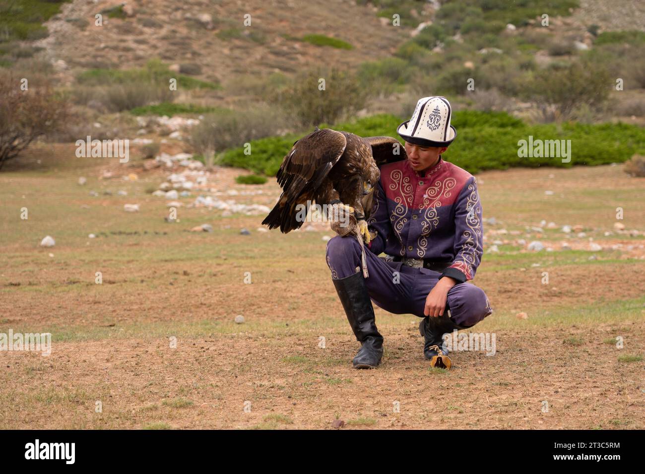 Chasseur kirghize avec aigle doré (Aquila chrysaetos), lac Song kol, région de Naryn, Kirghizistan Banque D'Images