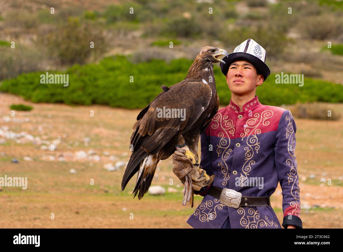 Chasseur kirghize avec aigle doré (Aquila chrysaetos), lac Song kol, région de Naryn, Kirghizistan Banque D'Images Chasseur kirghize avec aigle doré (Aquila chrysaetos), lac Song kol, région de Naryn, Kirghizistan Banque D'Images