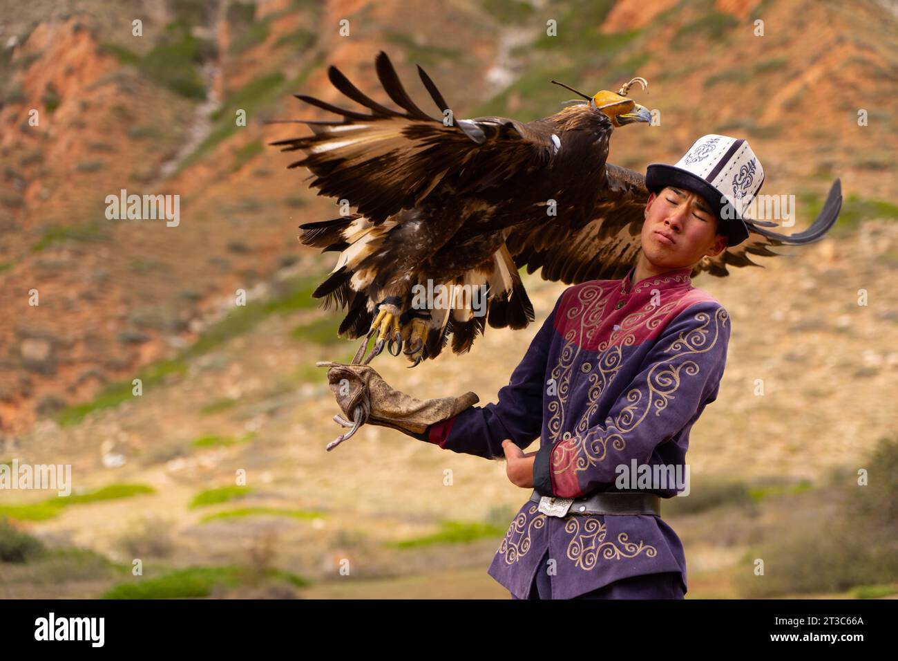 Chasseur kirghize avec aigle doré (Aquila chrysaetos), lac Song kol, région de Naryn, Kirghizistan Banque D'Images Chasseur kirghize avec aigle doré (Aquila chrysaetos), lac Song kol, région de Naryn, Kirghizistan Banque D'Images