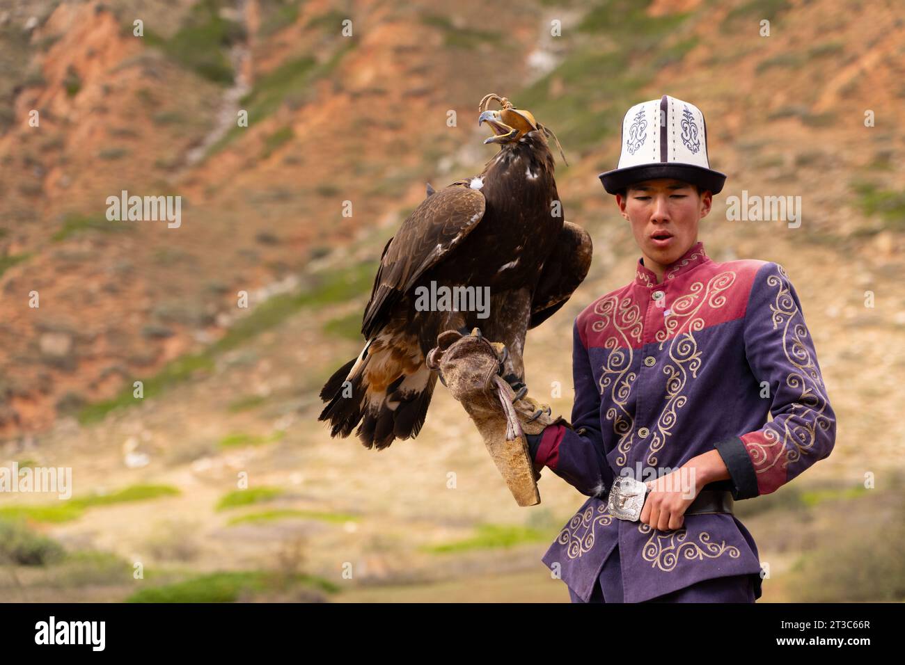 Chasseur kirghize avec aigle doré (Aquila chrysaetos), lac Song kol, région de Naryn, Kirghizistan Banque D'Images