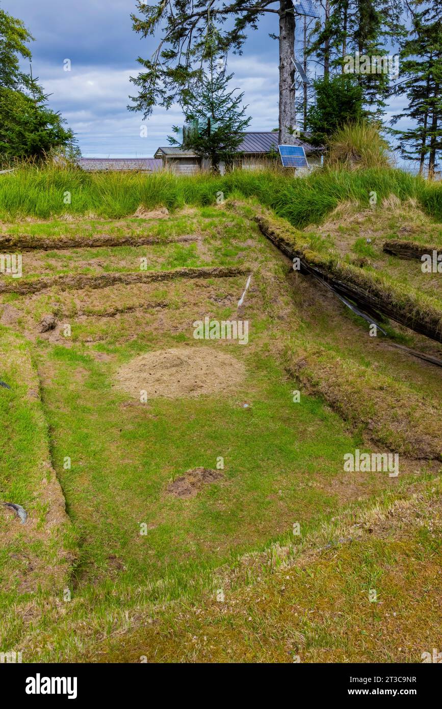 Maison fosse et poutres de soutien d'une ancienne maison longue dans l'ancien site du village de K'uuna Linagaay, alias Skedans, sur l'île Louise, alias K'uuna Gwaay yaay, Banque D'Images
