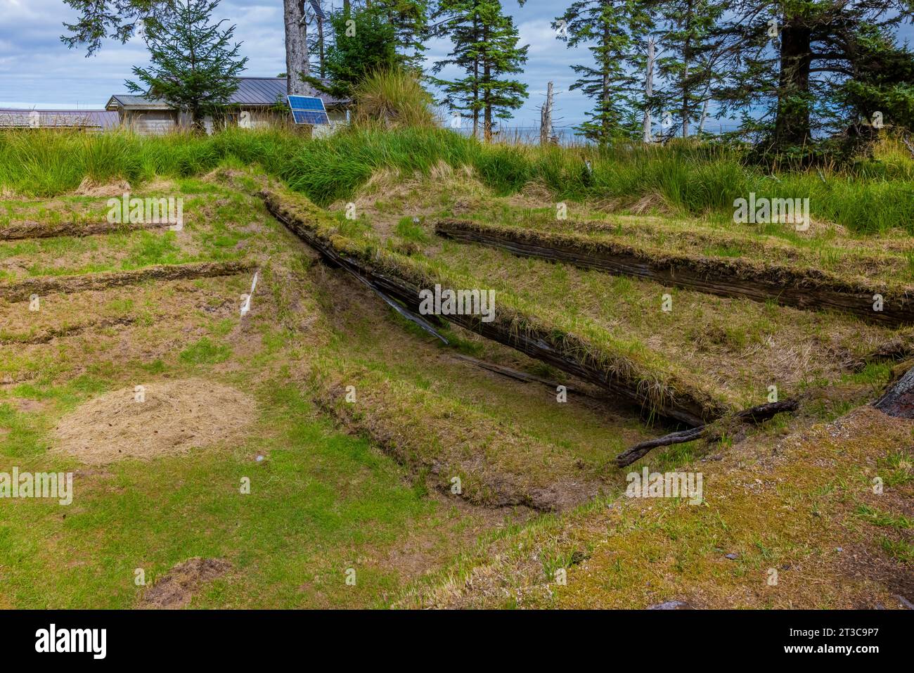 Maison fosse et poutres de soutien d'une ancienne maison longue dans l'ancien site du village de K'uuna Linagaay, alias Skedans, sur l'île Louise, alias K'uuna Gwaay yaay, Banque D'Images