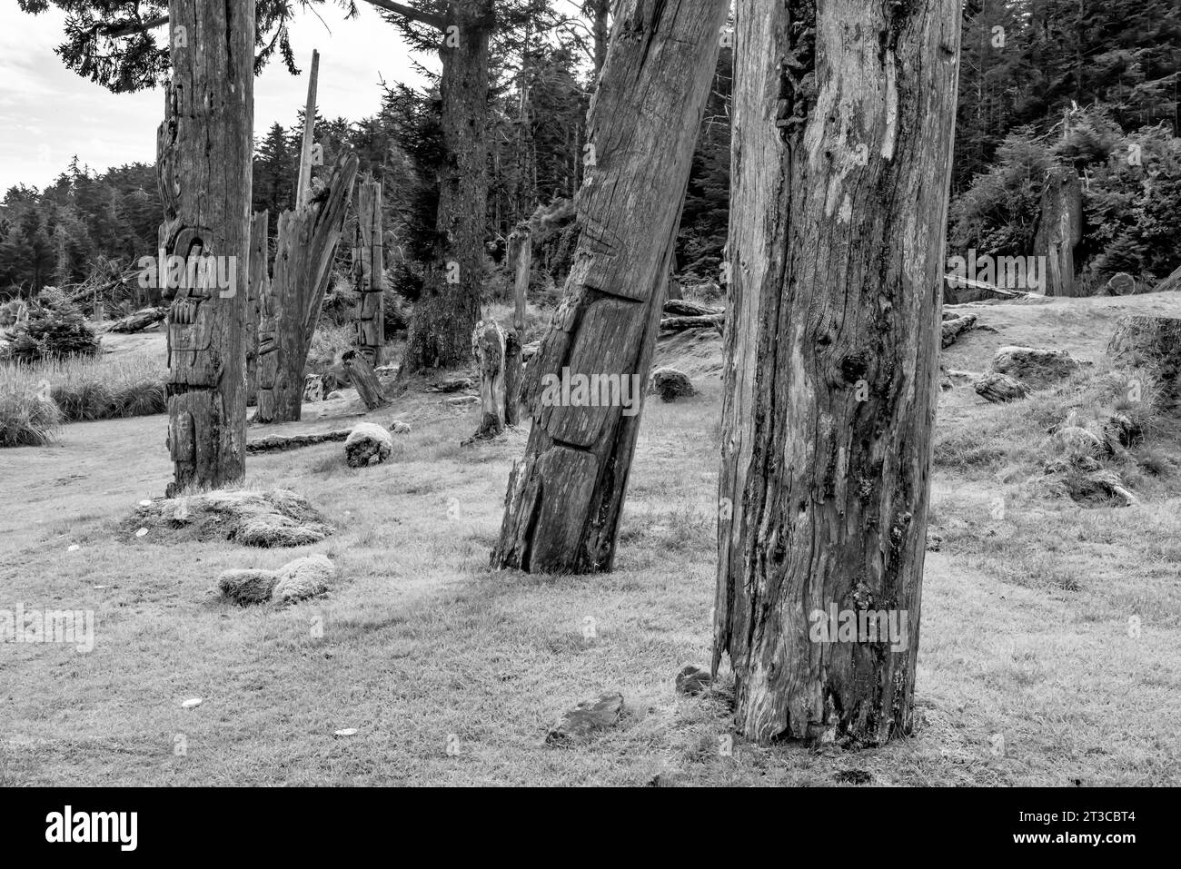 Totems sur le site du patrimoine mondial de l’UNESCO SGang Gwaay Llnagaay, un site ancien de village dans la réserve de parc national Gwaii Haanas, Haida Gwaii, Co Banque D'Images