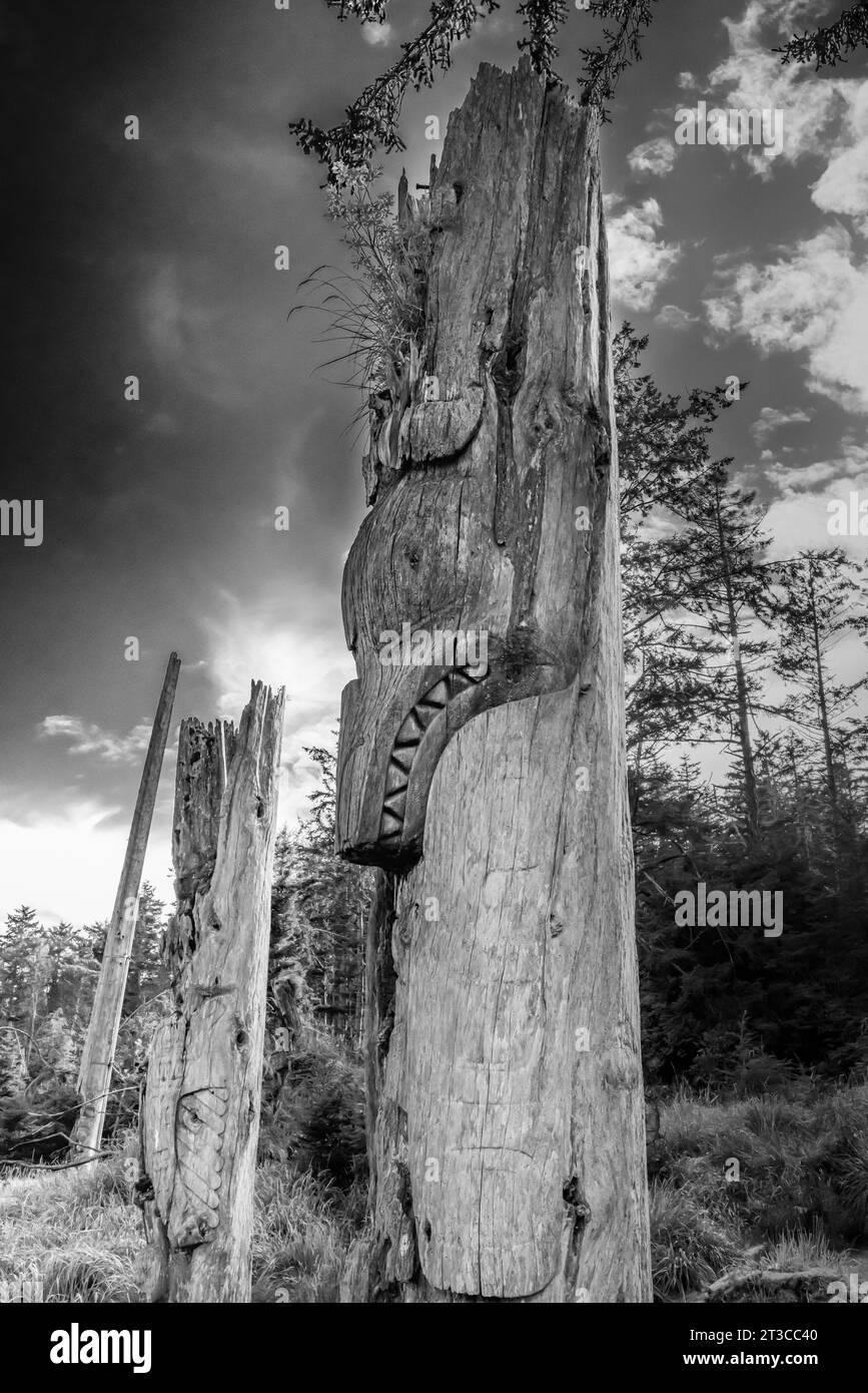 Totems sur le site du patrimoine mondial de l’UNESCO SGang Gwaay Llnagaay, un site ancien de village dans la réserve de parc national Gwaii Haanas, Haida Gwaii, Co Banque D'Images