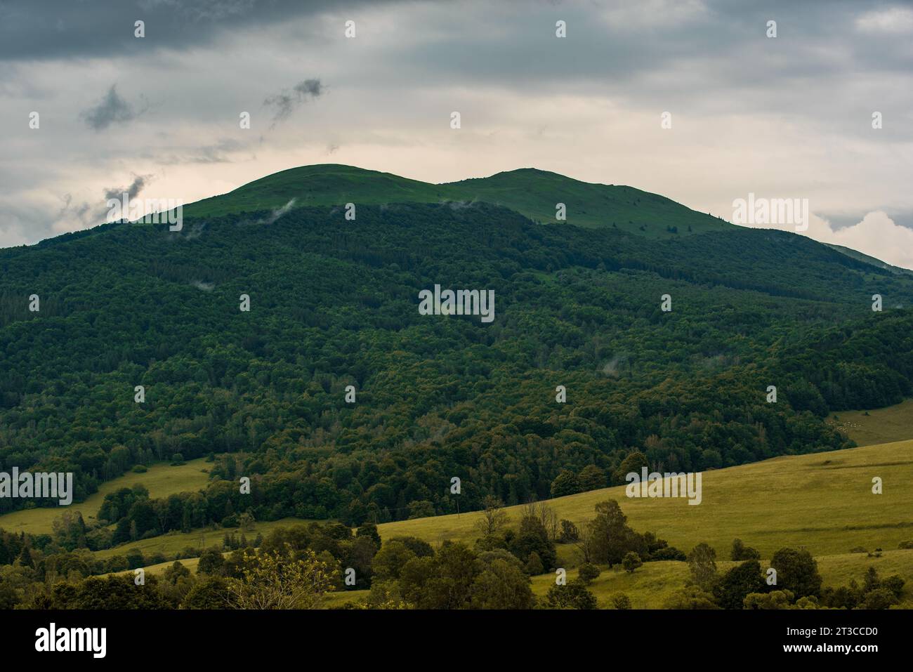 Vue sur les prairies de Bieszczady, beau paysage après la pluie, l'air est pur, le ciel est nuageux, les yeux mènent au pic Banque D'Images