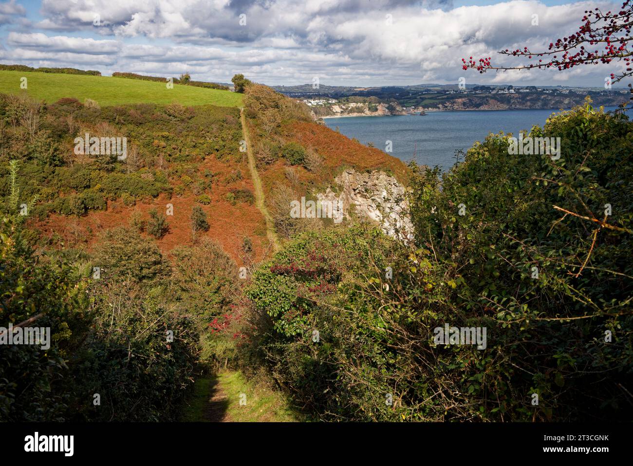 La route du SW Coast Path plonge vers le bas puis vers le haut sur les côtés d'un profond ravin boisé près de St Austell Bay, près de Charlestown, Cornwall. Banque D'Images