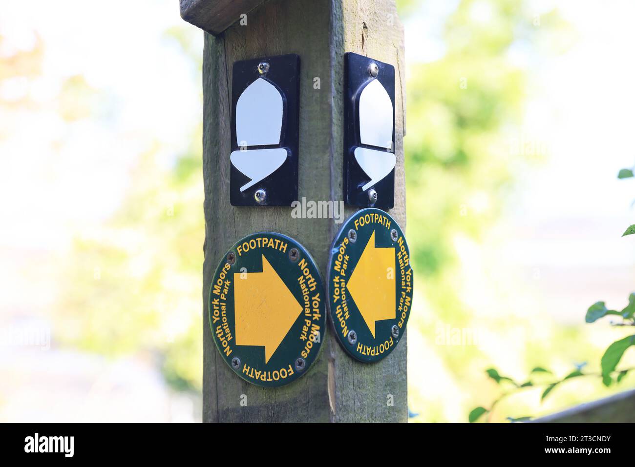 Panneau Acorn pour le sentier North York Moors, dans la baie de Robin Hood's, sur la côte patrimoniale des New Yorkshire Moors, Royaume-Uni Banque D'Images