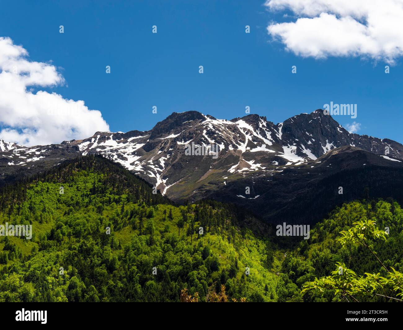 Chaînes de montagnes avec neige, forêts et prairies dans les hauts plateaux de l'est du Tibet, Chine Banque D'Images