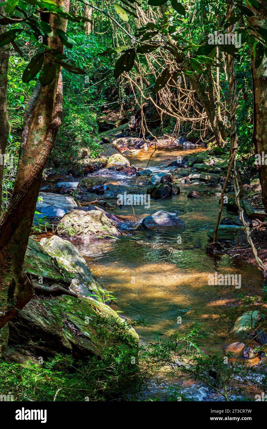 Rivière traversant la forêt tropicale entourée de rochers et d'arbres dans l'état de Minas Gerais, Brésil Banque D'Images Rivière traversant la forêt tropicale entourée de rochers et d'arbres dans l'état de Minas Gerais, Brésil Banque D'Images