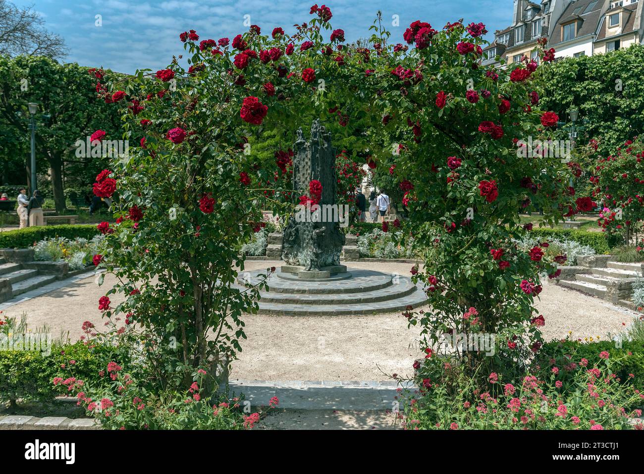 Arc rose dans un parc près de Square René Viviani, Paris, France Banque D'Images