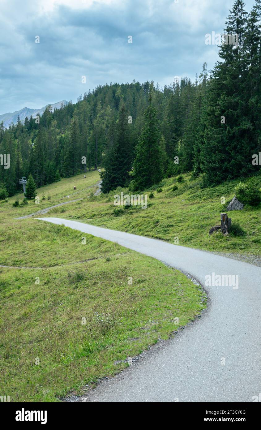 Route courbe dans la montagne des Alpes, Kandersteg, Suisse Banque D'Images