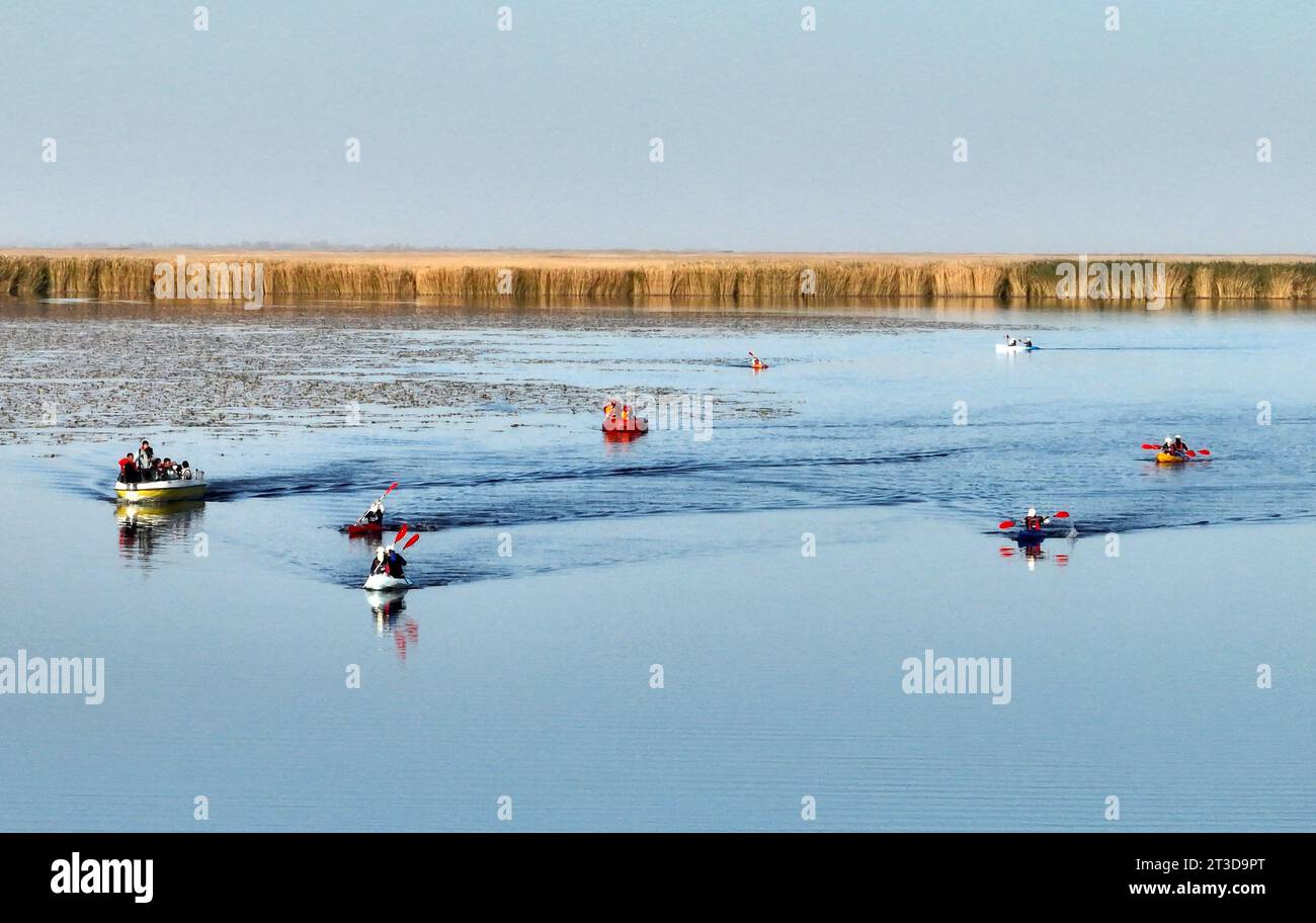 BAZHOU, CHINE - 24 OCTOBRE 2023 - les athlètes font du kayak sur le site pittoresque du lac Bosten à la station Global Canal Boat Race Crossing Xinjiang Station à Bazhou cit Banque D'Images