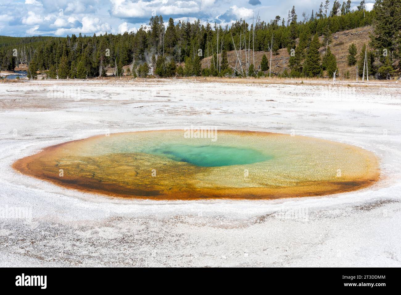 Piscine chromatique au parc national de Yellowstone Banque D'Images