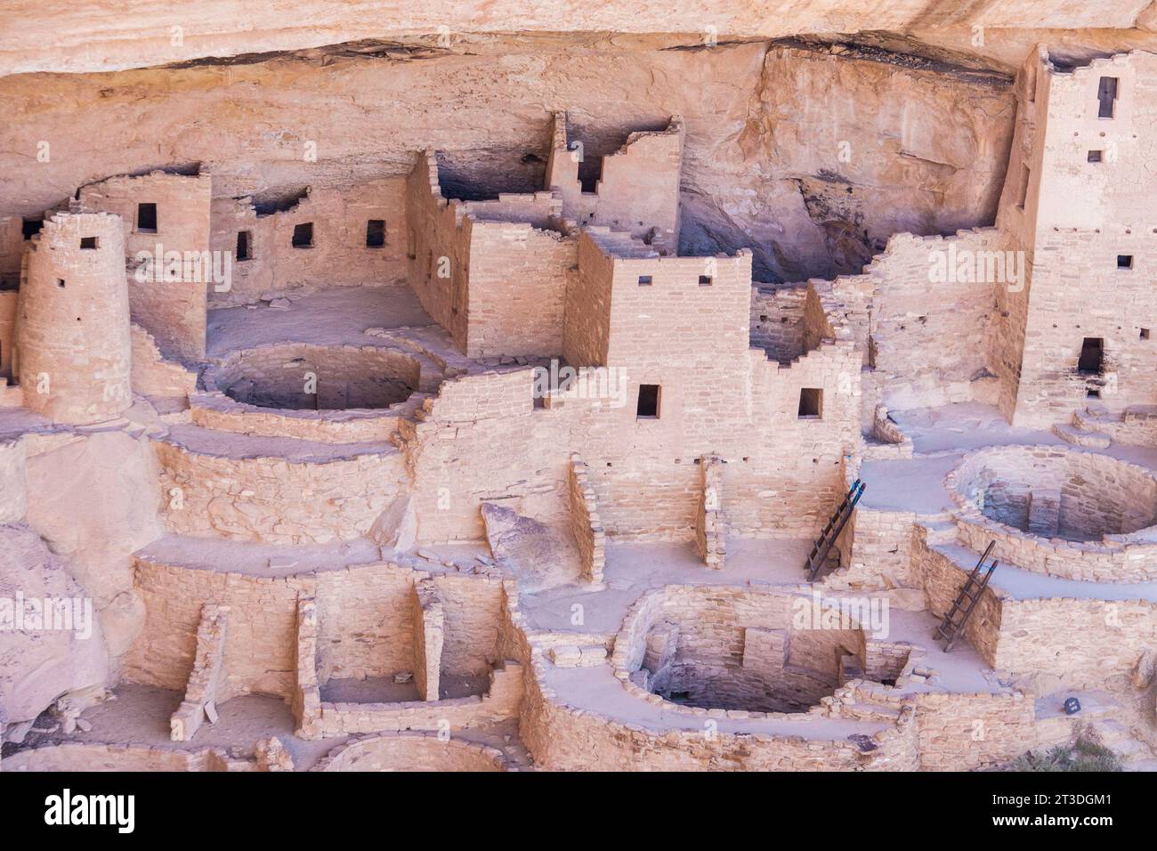 Les anciennes habitations de falaises dans le parc national de Mesa Verde dans le Colorado remontent à avant 1300 après JC. Banque D'Images