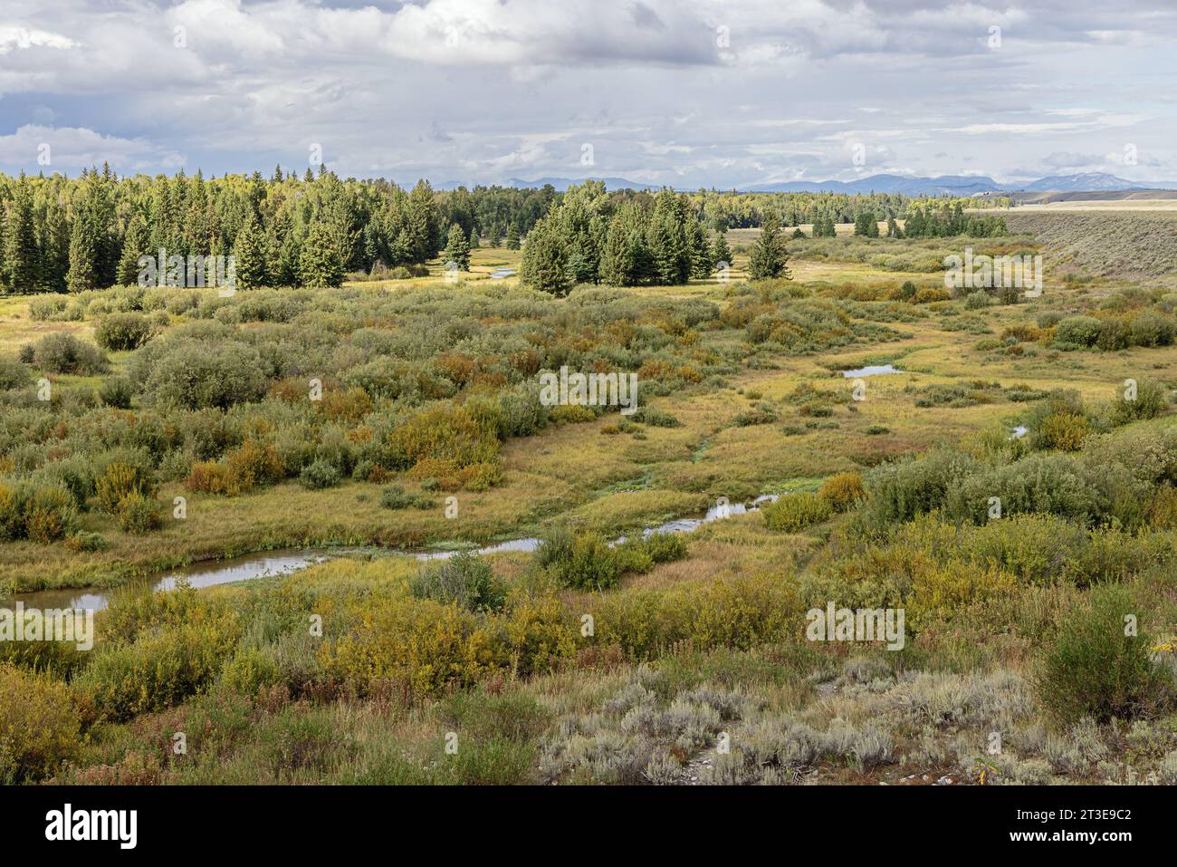 Taches de soleil dans la vallée de la rivière Snake, au Black Tail Pond Overlook dans le parc national de Grand Teton Banque D'Images