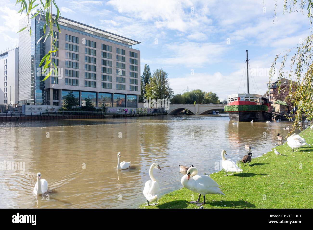 Riverside Walk sur les rives de la rivière Nene, Rivergate, Peterborough, Cambridgeshire, Angleterre, Royaume-Uni Banque D'Images