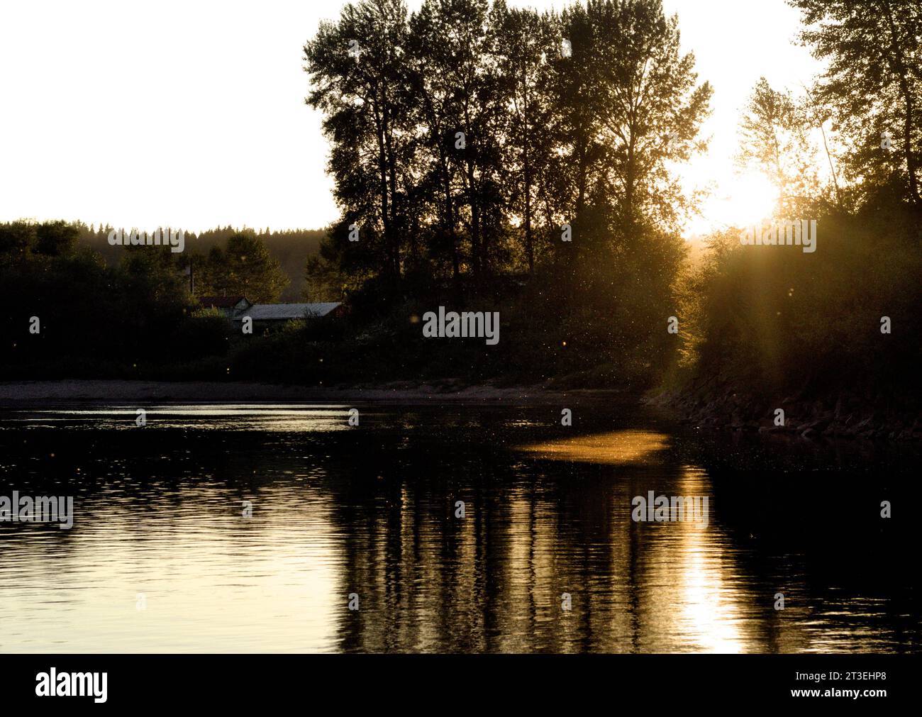 Le soleil se couche à la fin de l'été, sur la rivière Snoqualmie, à côté d'une ville nommée Carnation dans l'État de Washington. Banque D'Images