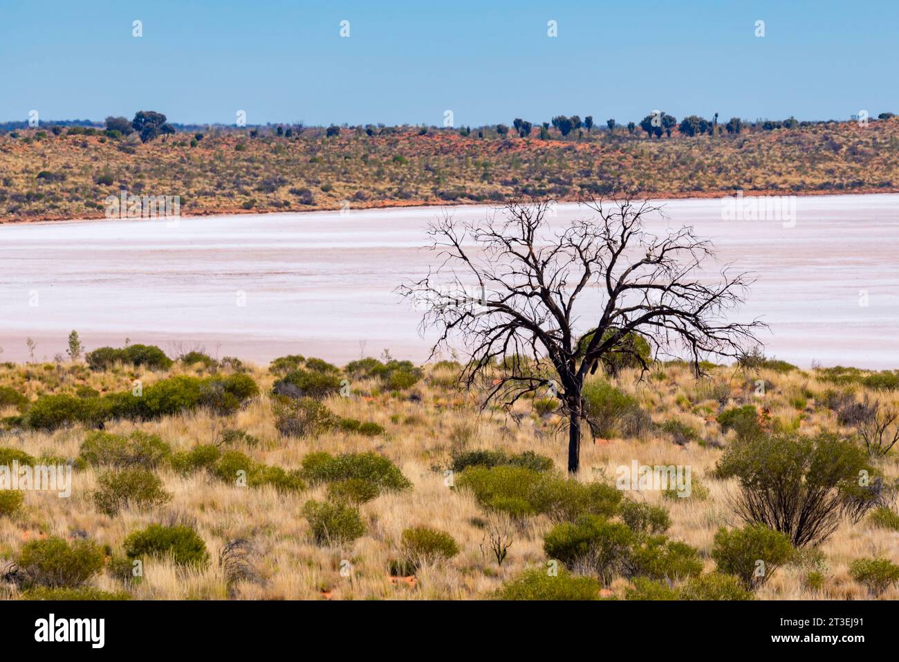 Un bac à sel ou un lac salé près du belvédère du Mont Conner, qui fait partie de la collection de lacs salés du Grand Lac Amadeus dans le territoire du Nord, en Australie Banque D'Images